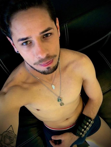 Dany