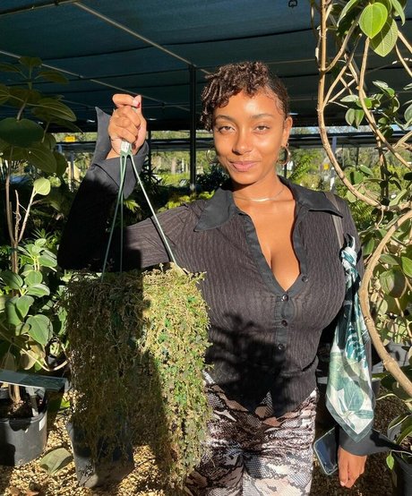 Plantbae
