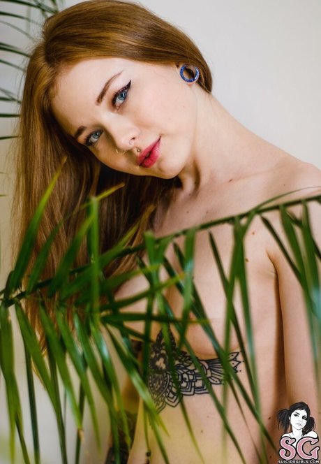 Karnelia