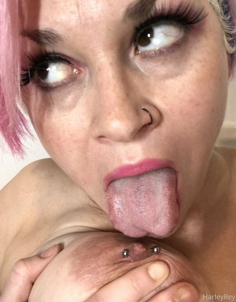 Harleyrey
