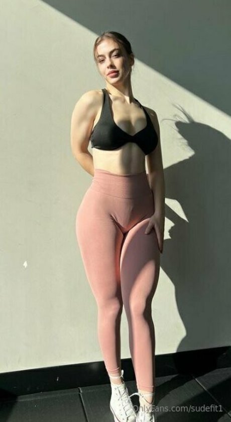 Sudefit1