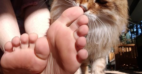 Softcorekittyx