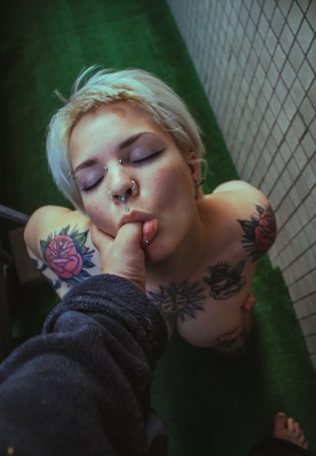 Pollyyvla