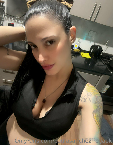 Paulasanchezfregaok