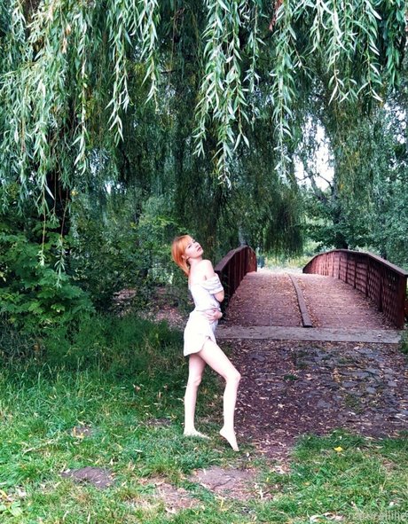 Naturallilie