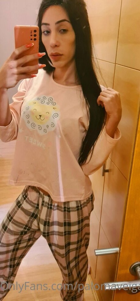 Palomaveiga