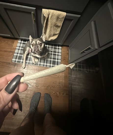Horrorwh0re