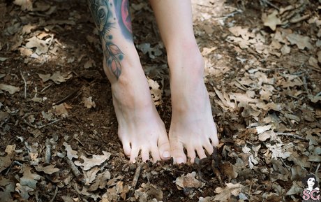 Photo nue de fuite OnlyFans de Lovemeferal