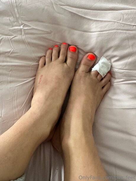 Pvz Feet