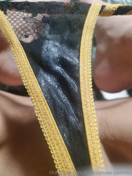 Photo nue de fuite OnlyFans de Foxiccanvas Pantyland