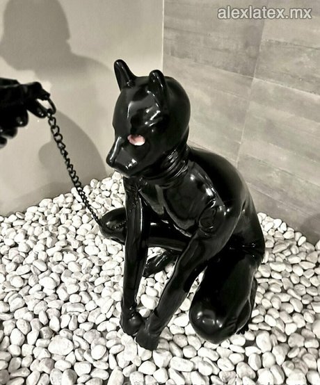 Photo nue de fuite OnlyFans de Alexlatexmx