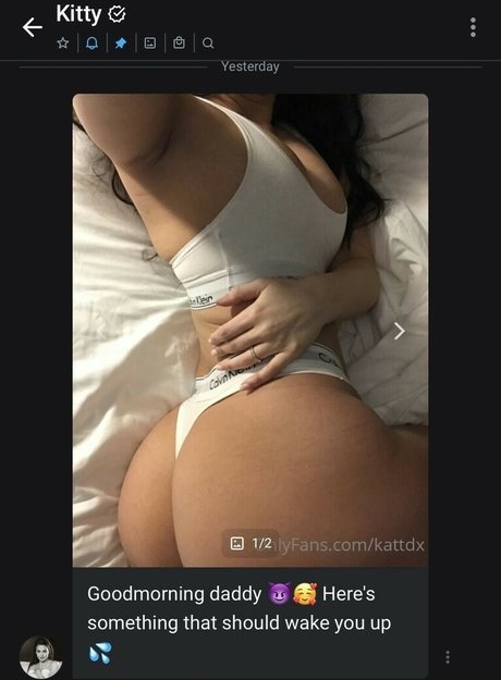 Kattdx