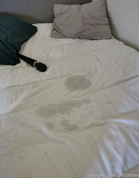 Photo nue de fuite OnlyFans de Nordickitten