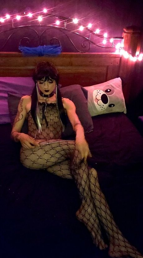 Nekogoth23