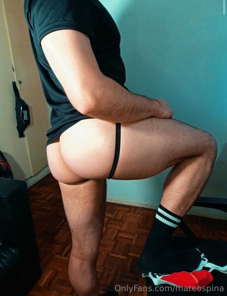 Mateospina