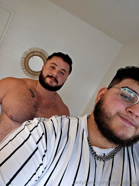 Baymaxcub