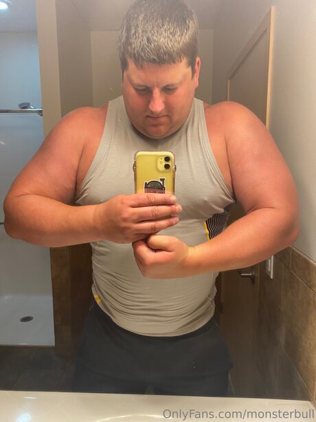 Thebulkinghog
