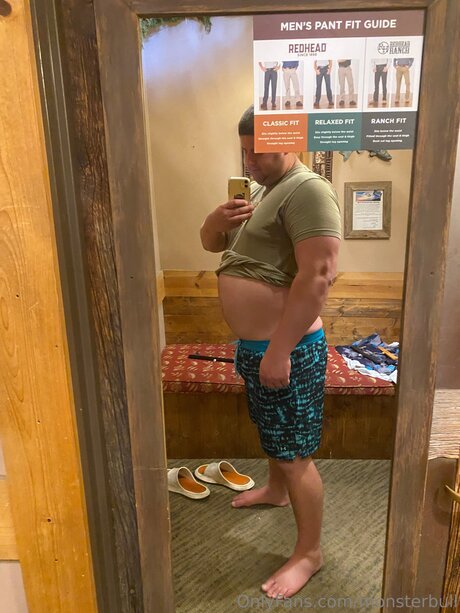 Thebulkinghog