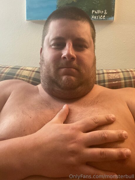 Thebulkinghog