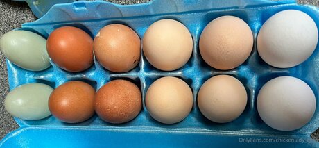 Photo nue de fuite OnlyFans de Chickenlady Eggs