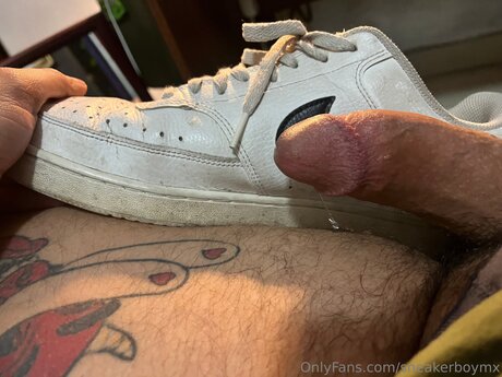 Sneakerboymx