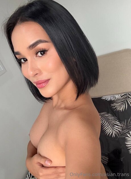 Asian Trans