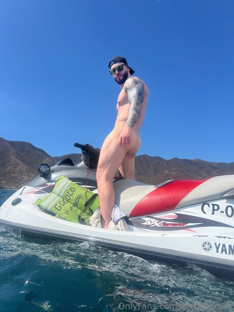 Theolivercolt