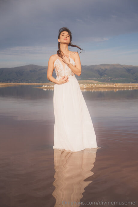 Divinemusemel