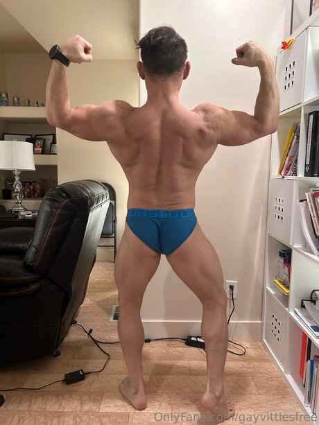 Gayvittlesfree