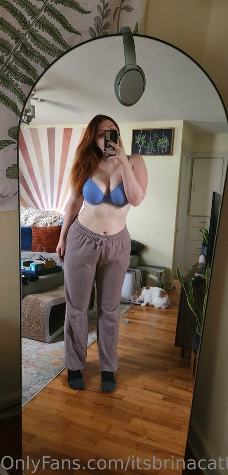 Itsbrinacatt