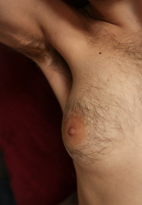 Eroicaforest