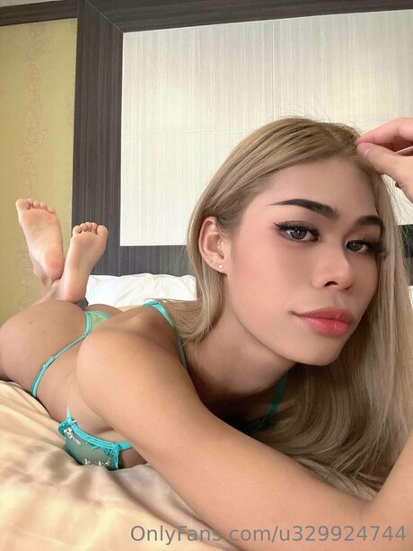 Starlitsylvia