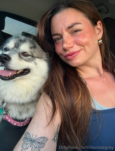 Lilarosegray