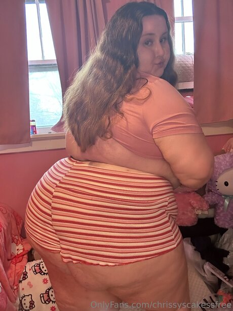 Chrissyscakessfree