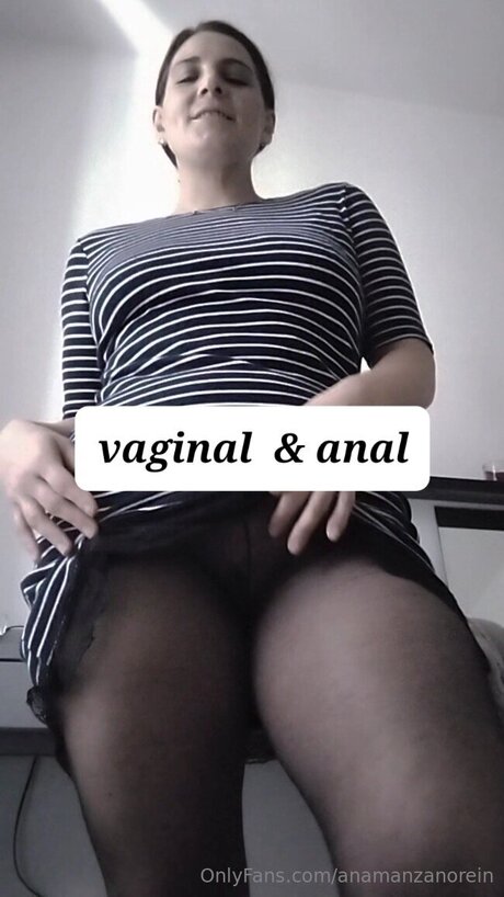 Anamanzanorein