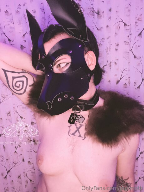 Pupmoth