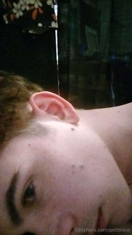 Petitnico