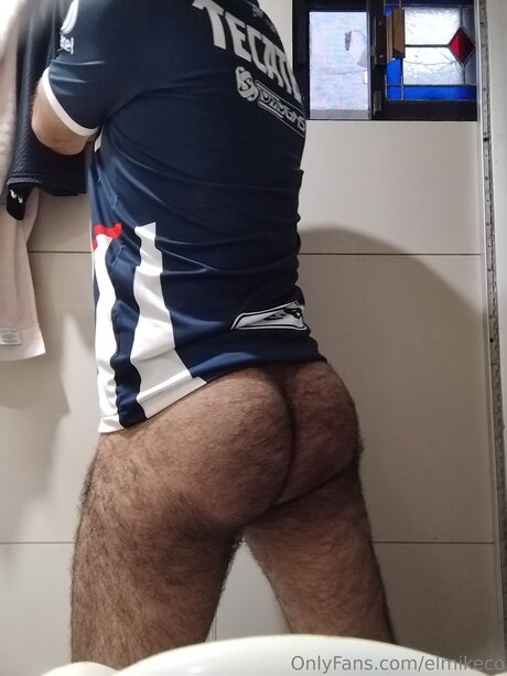 Elmikeco
