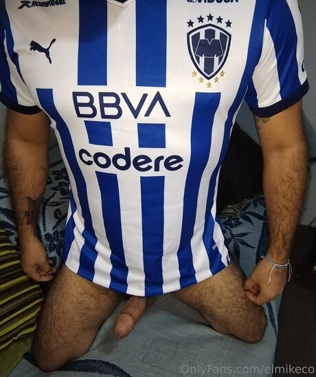 Elmikeco
