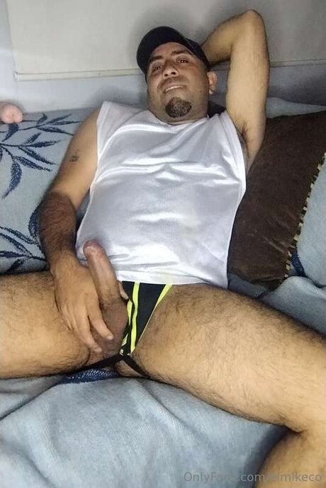 Elmikeco
