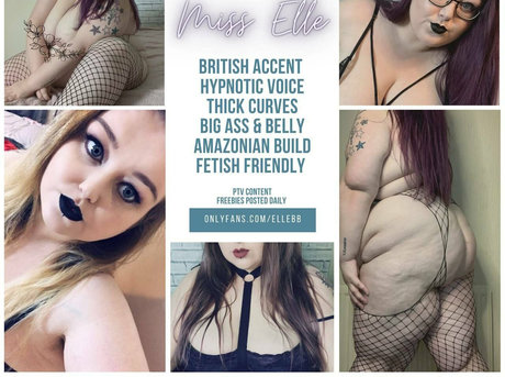 Thebbwbible