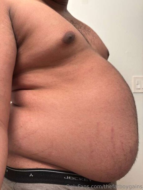 Thefatboygains