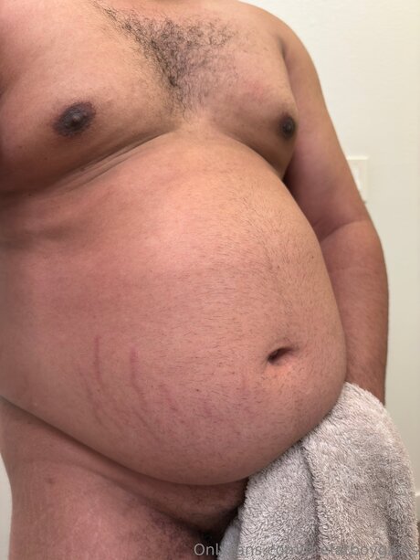 Thefatboygains