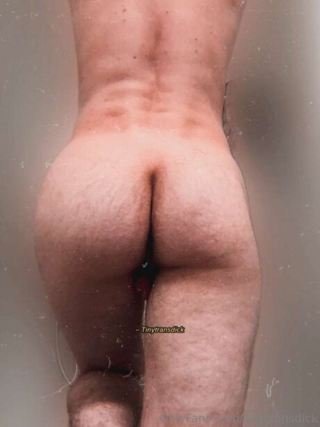 Photo nue de fuite OnlyFans de Tinytransdick