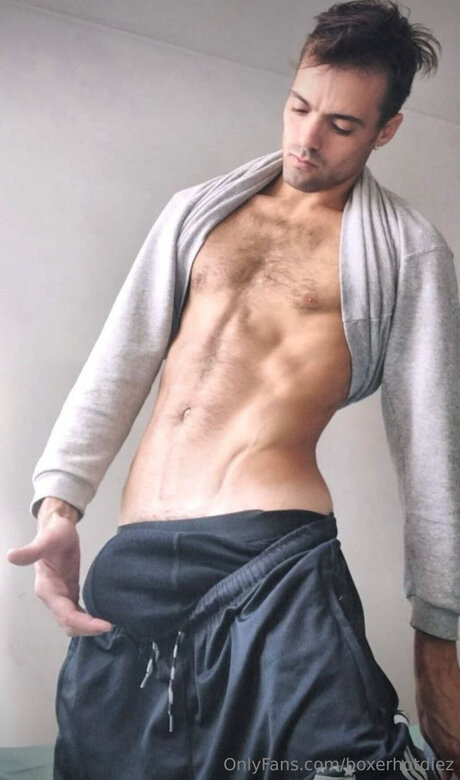 Boxerhotdiez
