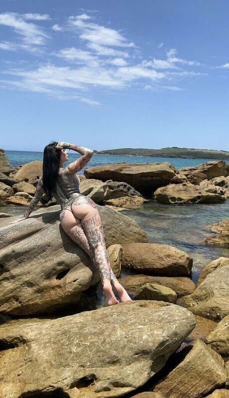 Cervena Fox