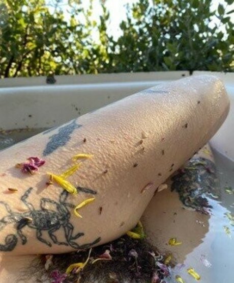 Photo nue de fuite OnlyFans de Aralia Hunt