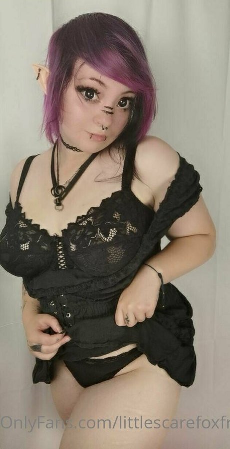 Photo nue de fuite OnlyFans de Littlescarefoxfree