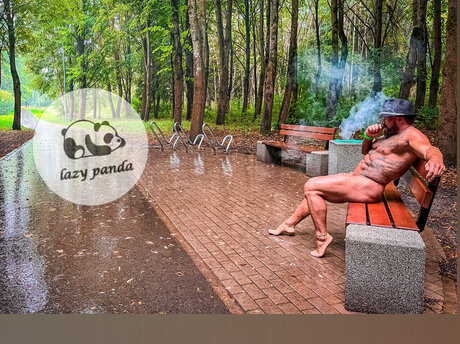 Lazy Panda