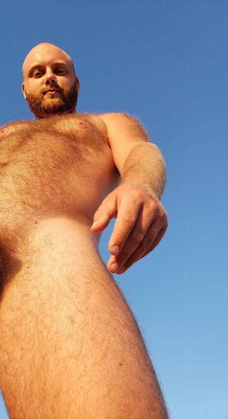 Cub Comely